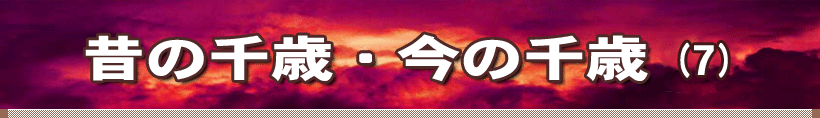 ̂̐΁E̐