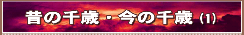 ̂̐΁E̐