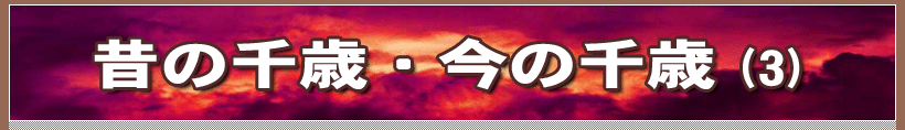 ̂̐΁E̐