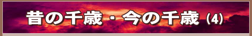 ̂̐΁E̐