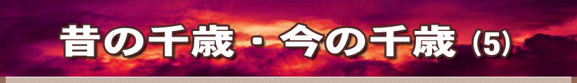 ̂̐΁E̐