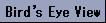Bird eye Viewy[W