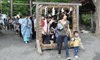  豊栄神社で「夏越の大祓（なごしのおおはらえ）」