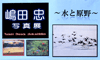 嶋田忠写真展　?水と原野?