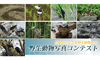 野生動物写真コンテスト入賞作品展